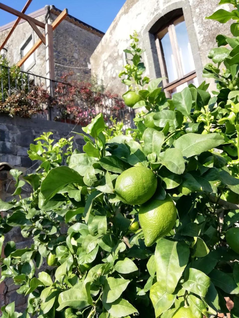 La Pietra Antica O' Munti Mascali Exterior foto