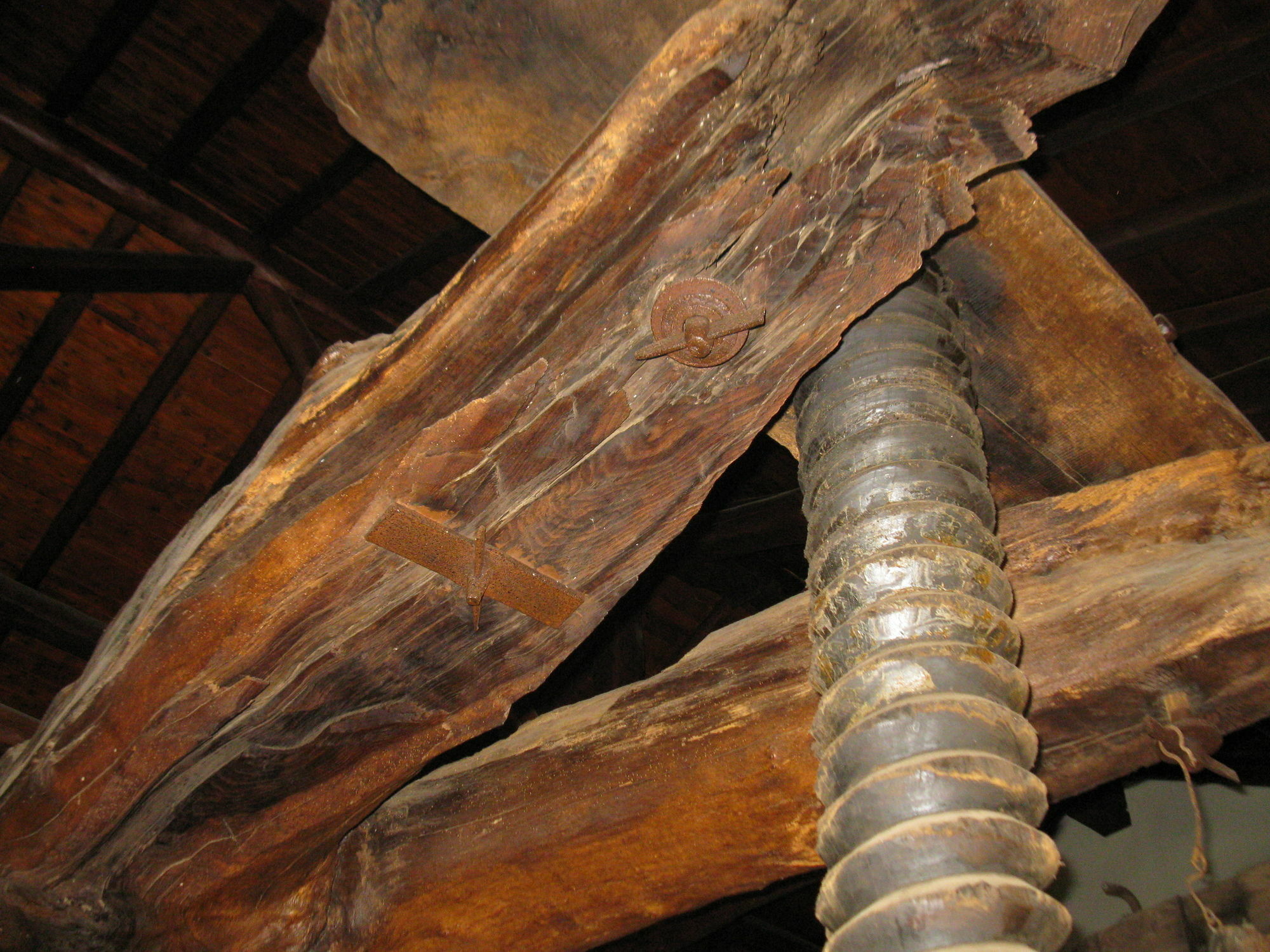 La Pietra Antica O' Munti Mascali Exterior foto